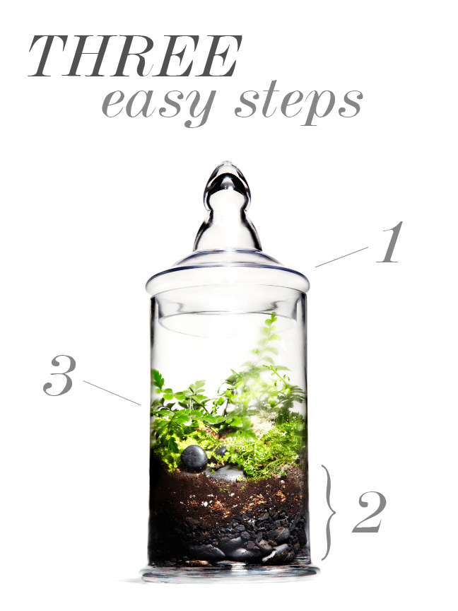 HBloom_build_your_own_terrarium_3